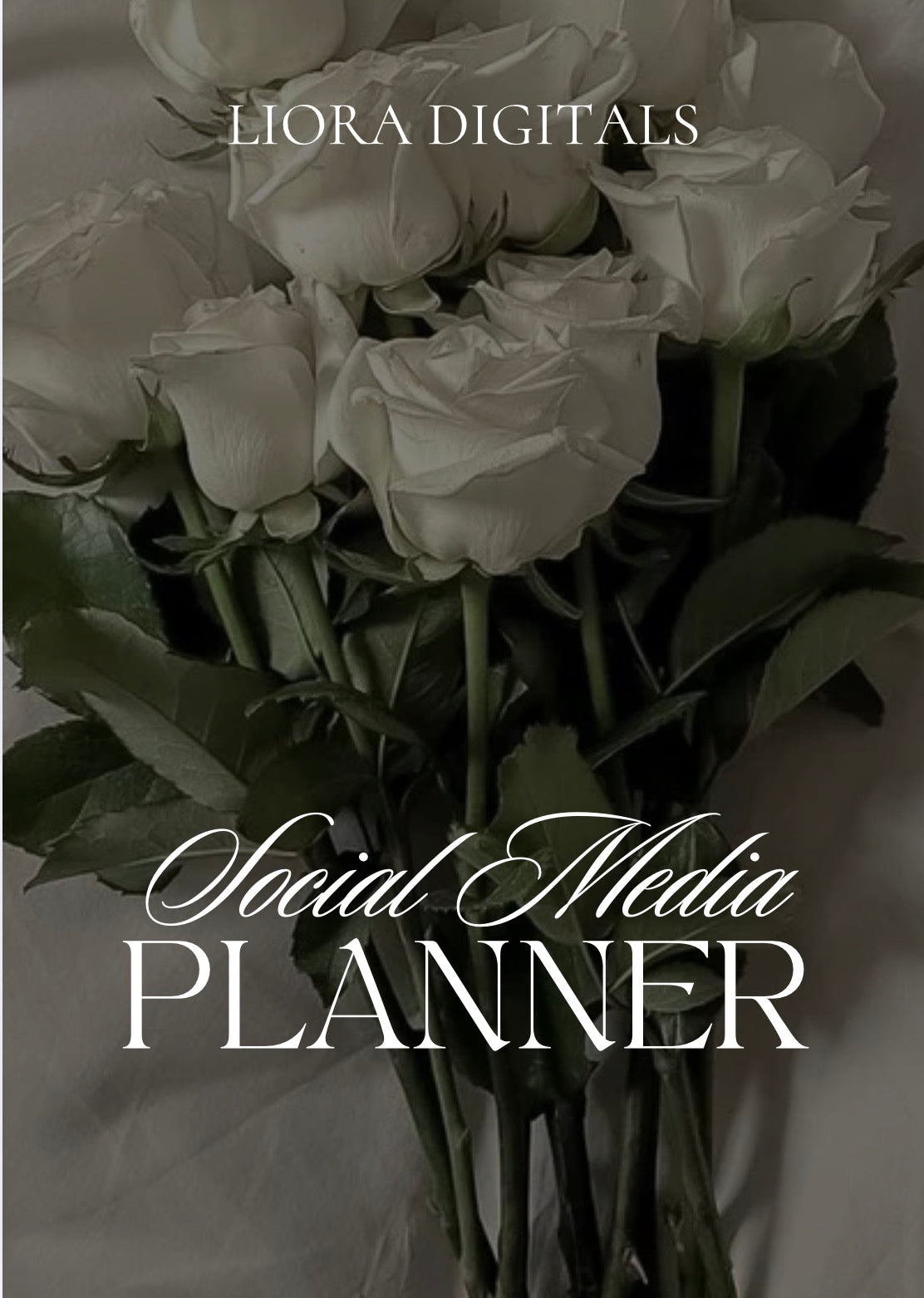 Social Media Planner